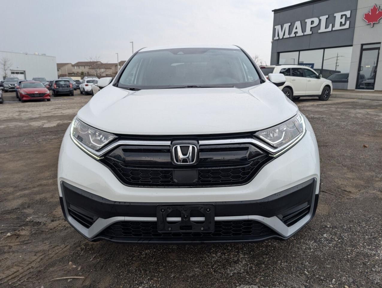 2021 Honda CR-V LX AWD   CAMERA   HTD SEATS Photo2