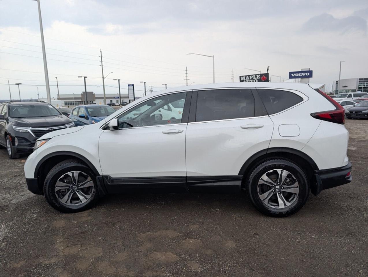 2021 Honda CR-V LX AWD   CAMERA   HTD SEATS Photo
