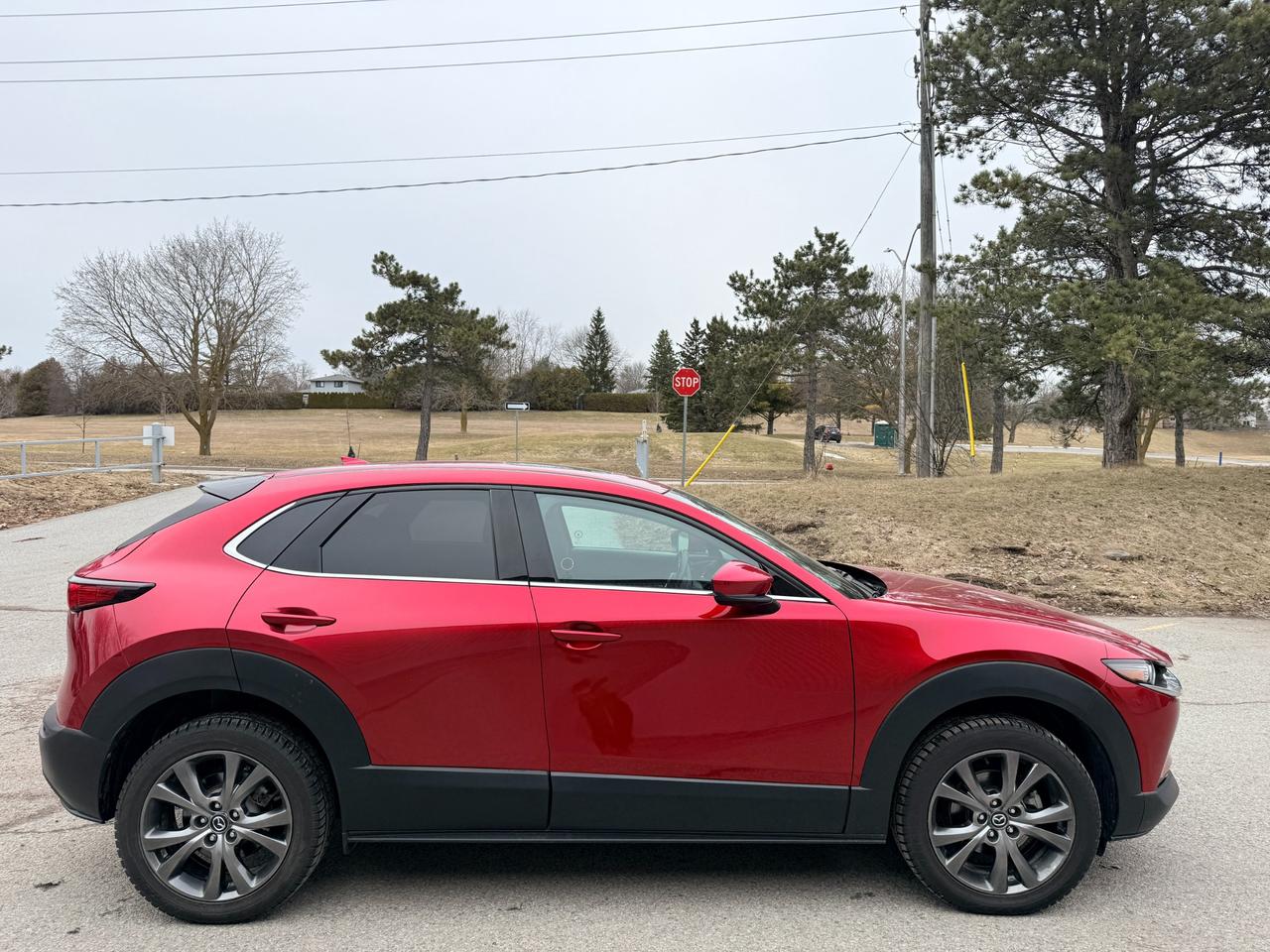 2023 Mazda CX-30 GT 4dr i-ACTIV All-Wheel Drive Sport Utility Photo