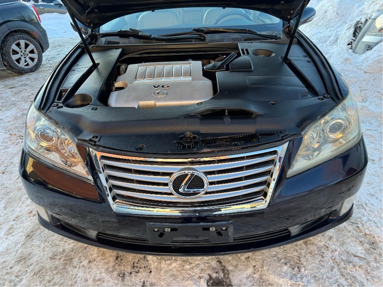 2010 Lexus ES 350 PREMIUM Photo