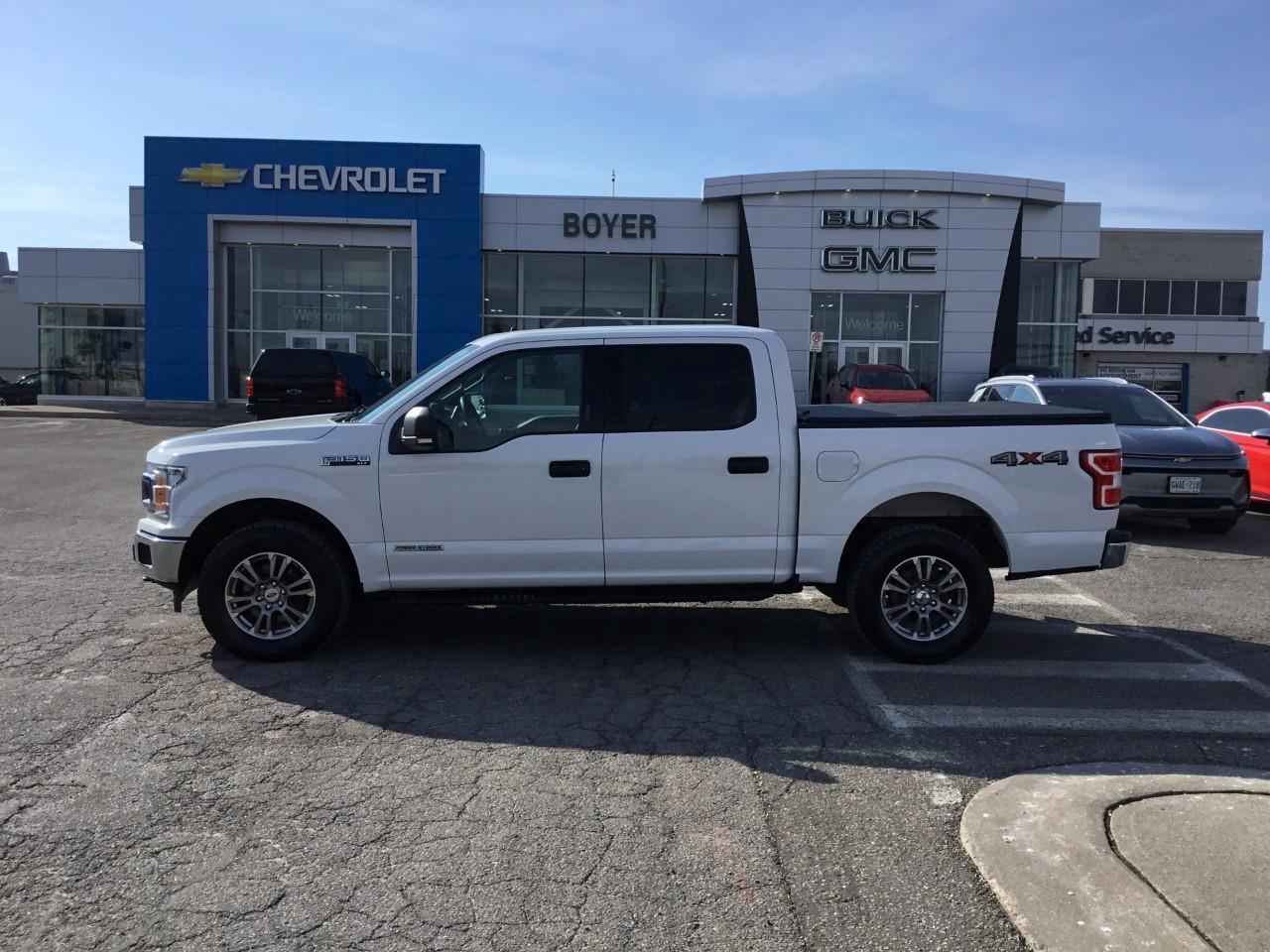 2019 Ford F-150  Photo