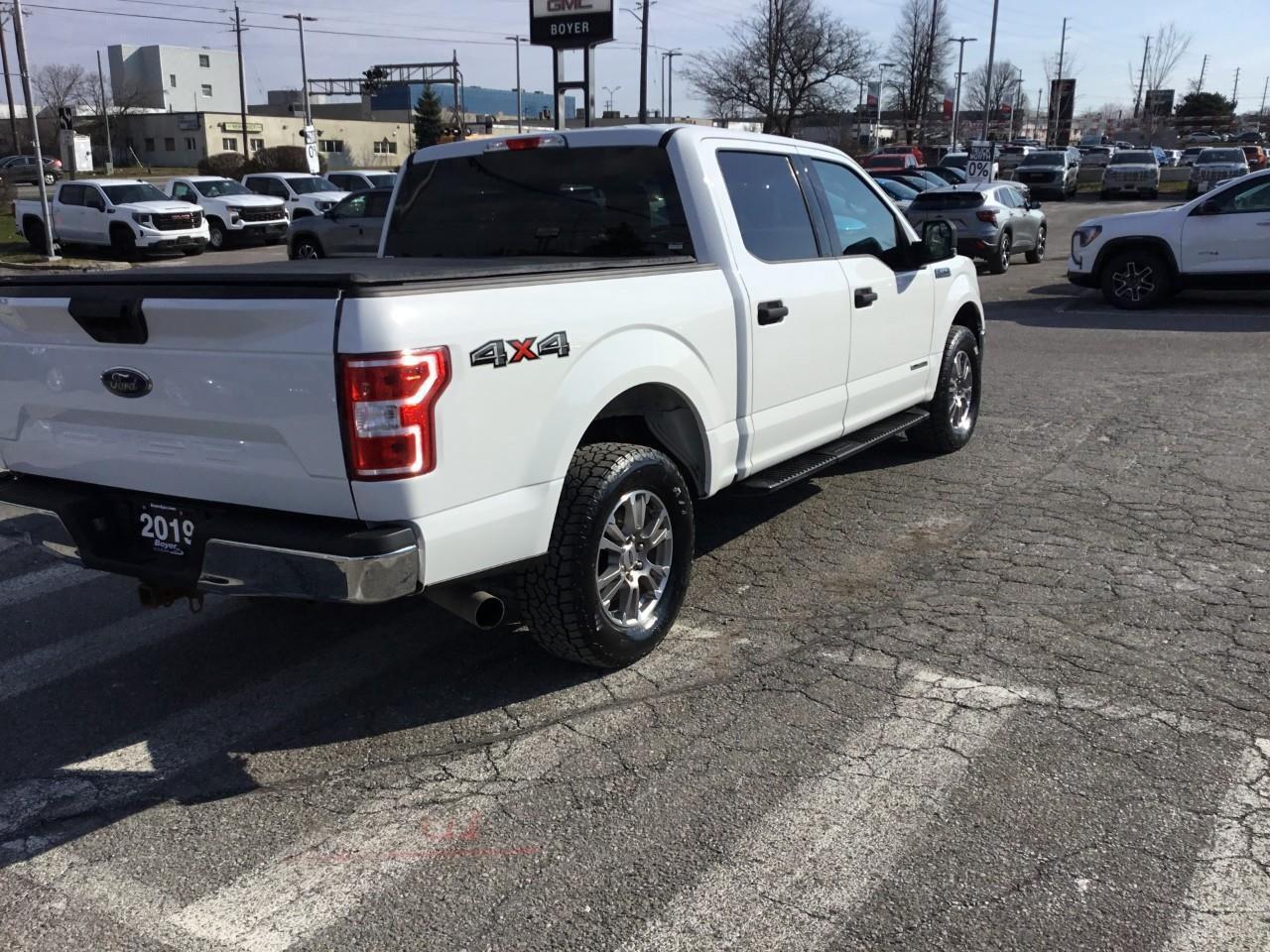 2019 Ford F-150  Photo