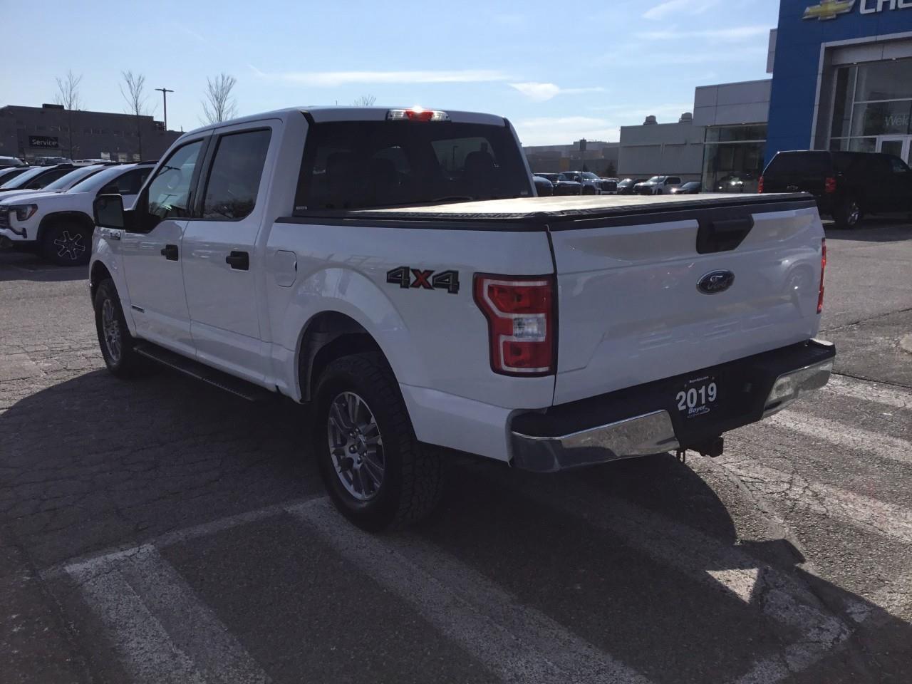 2019 Ford F-150  Photo2