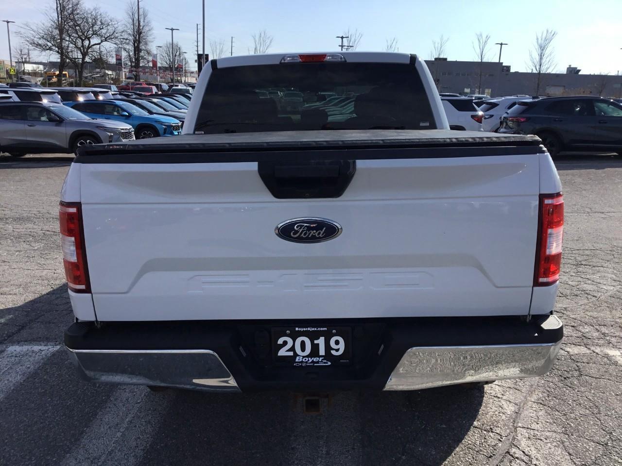 2019 Ford F-150  Photo