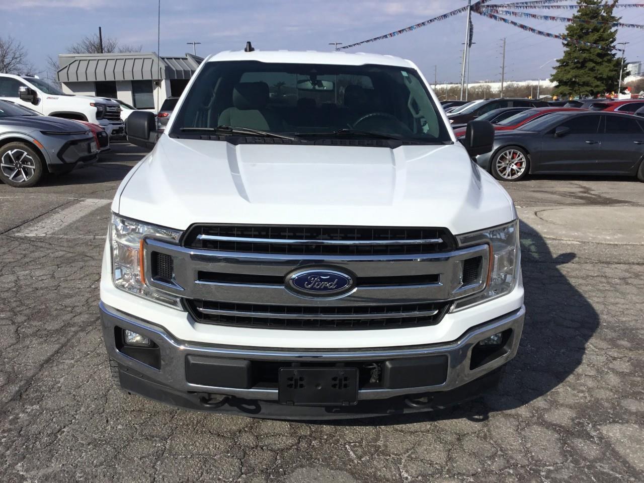 2019 Ford F-150  Photo