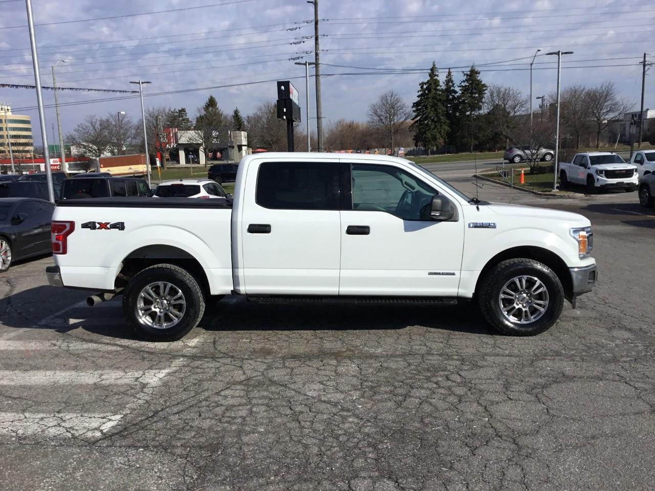 2019 Ford F-150  Photo