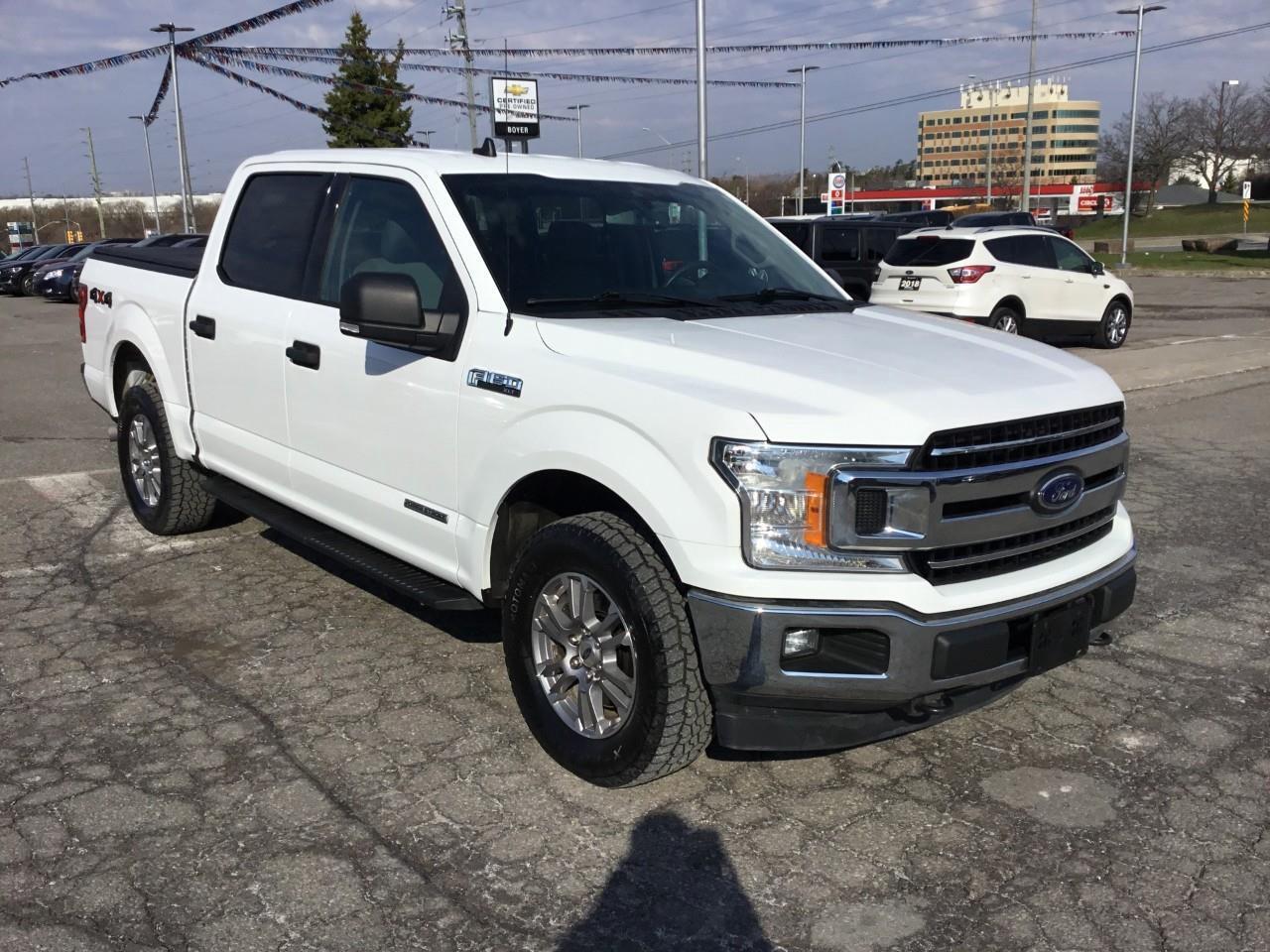 2019 Ford F-150  Photo