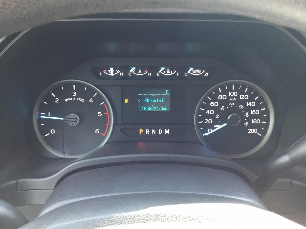 2019 Ford F-150  Photo