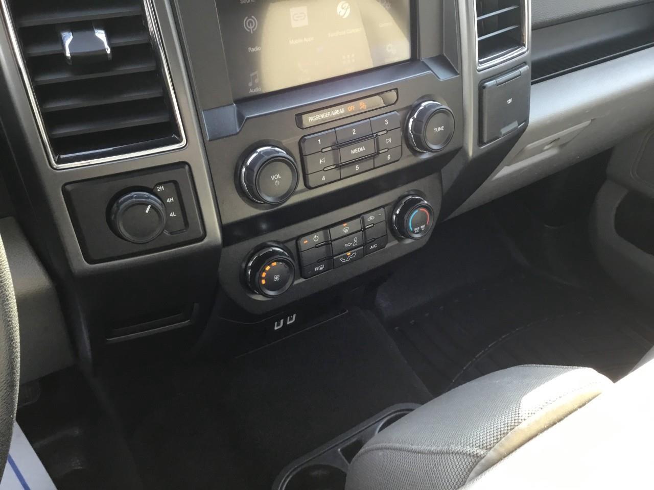 2019 Ford F-150  Photo