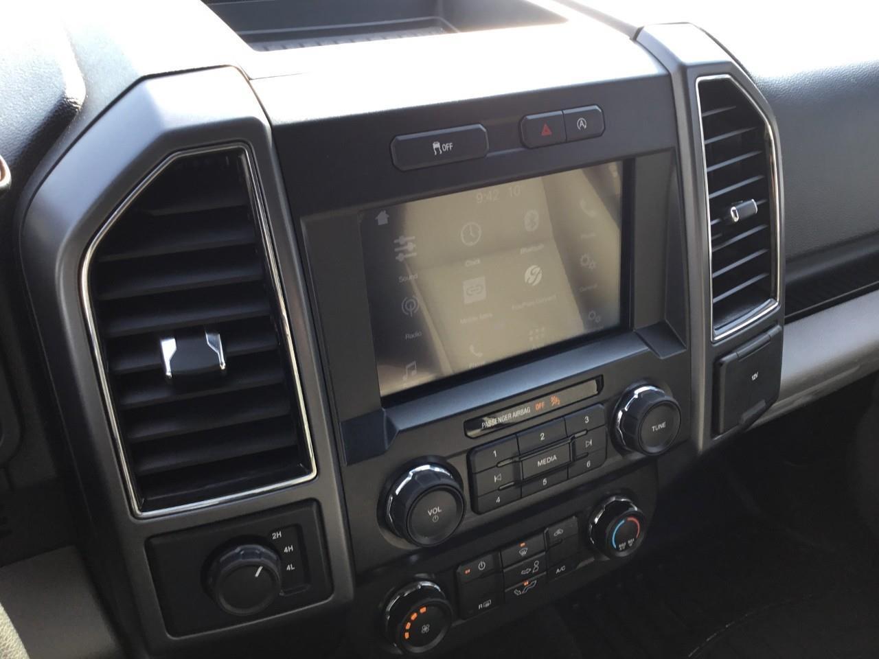 2019 Ford F-150  Photo