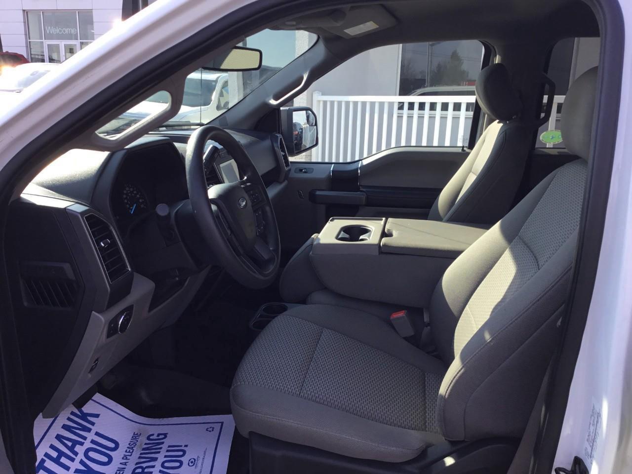2019 Ford F-150  Photo