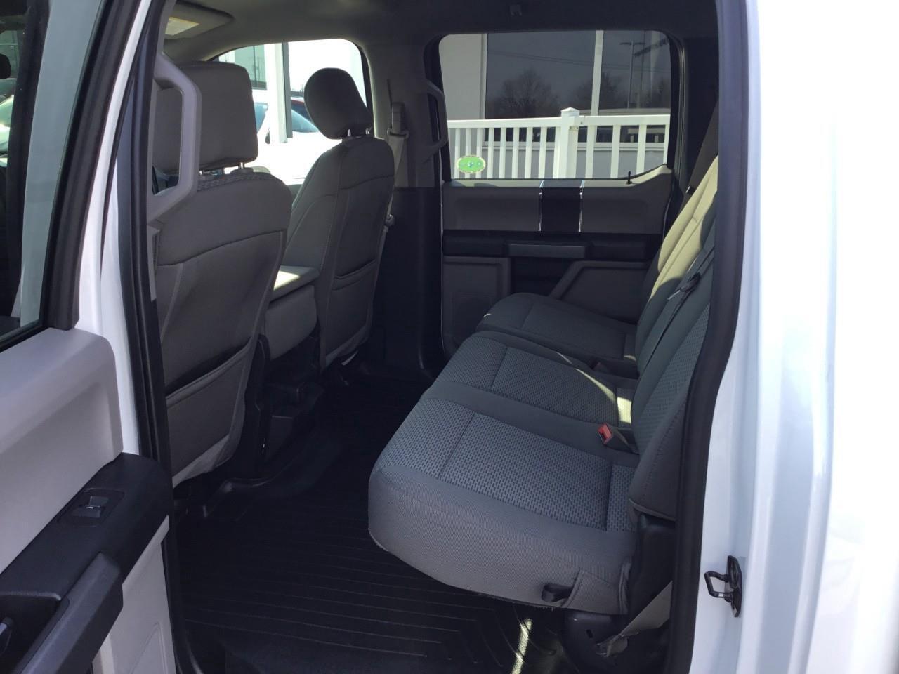 2019 Ford F-150  Photo