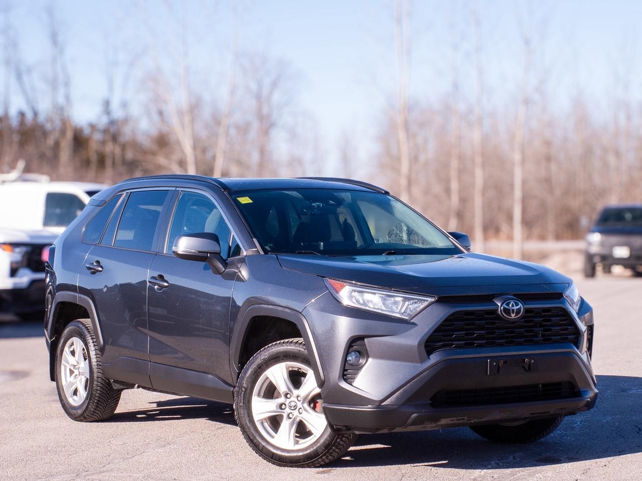 2021 Toyota RAV4 XLE - Power Liftgate   Adaptive Cruise Control Photo