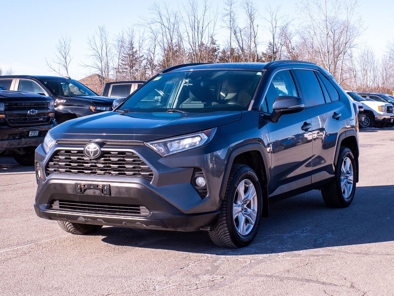 2021 Toyota RAV4 XLE - Power Liftgate   Adaptive Cruise Control Photo3