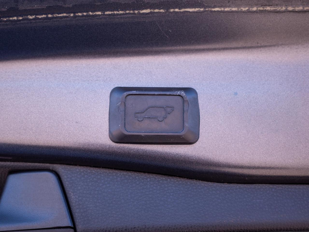 2021 Toyota RAV4 XLE - Power Liftgate   Adaptive Cruise Control Photo