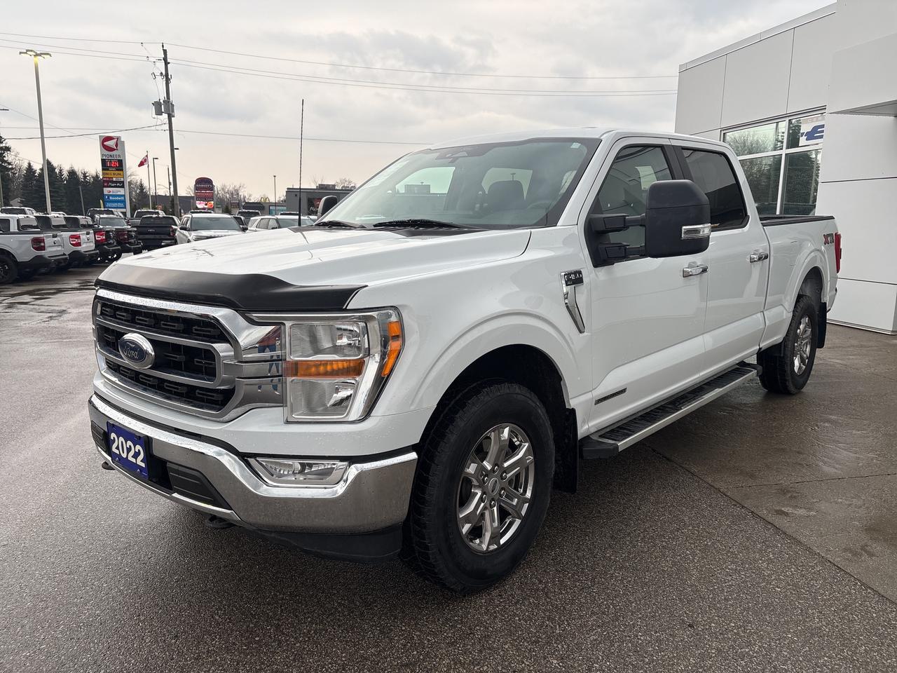 2022 Ford F-150 XLT Photo