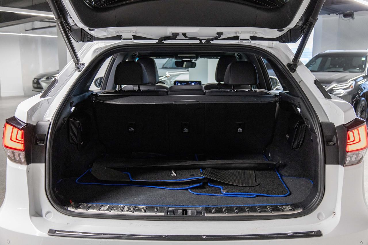 2021 Lexus RX 350 Blackline Edition Safety Certified Photo