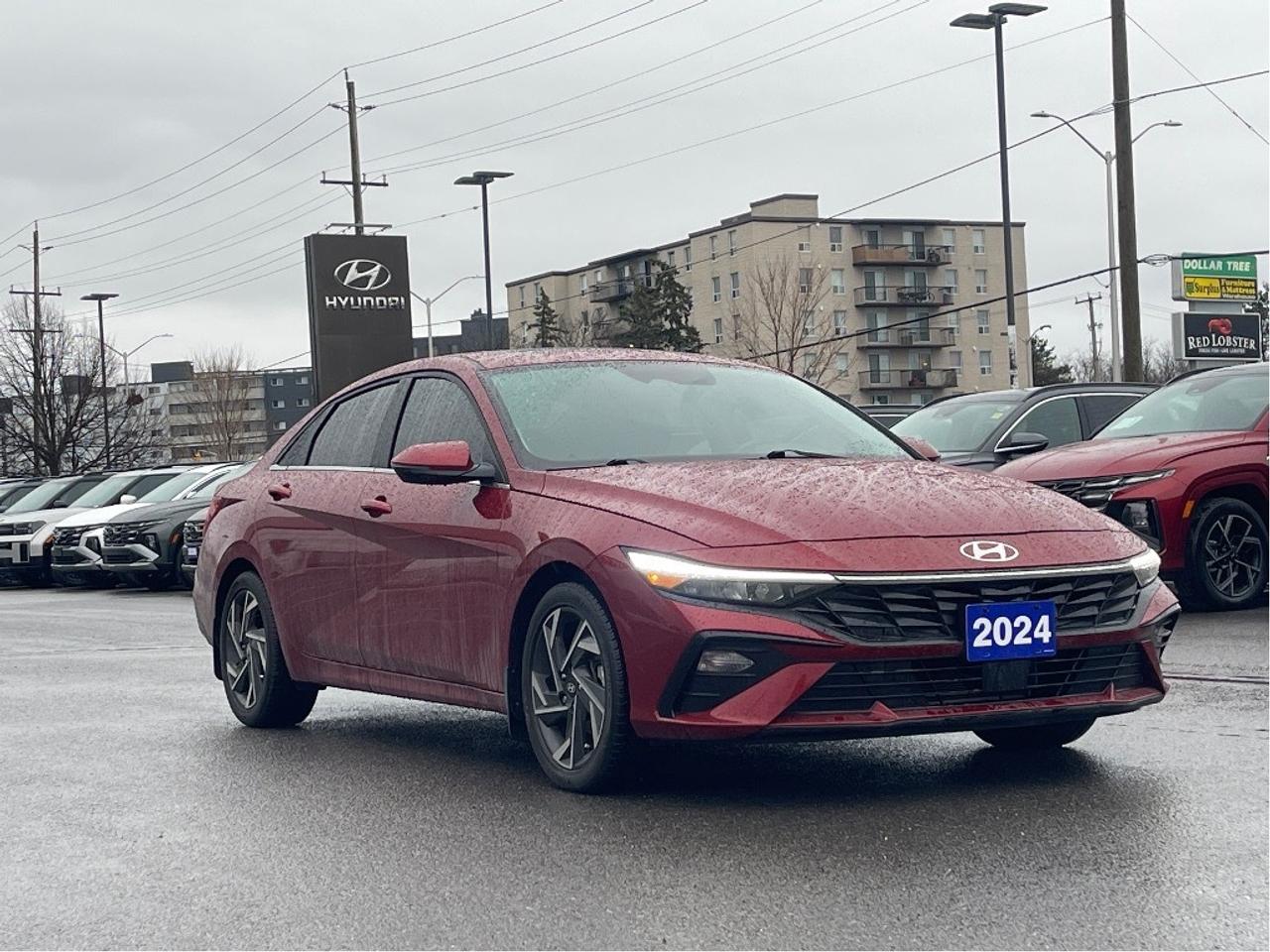 2024 Hyundai Elantra Luxury Photo