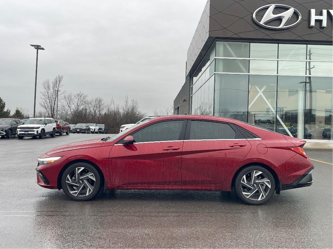 2024 Hyundai Elantra Luxury Photo