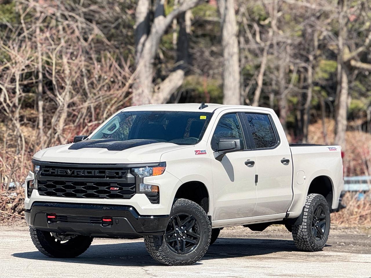 2026 Chevrolet Silverado 1500 Custom Trail Boss Photo