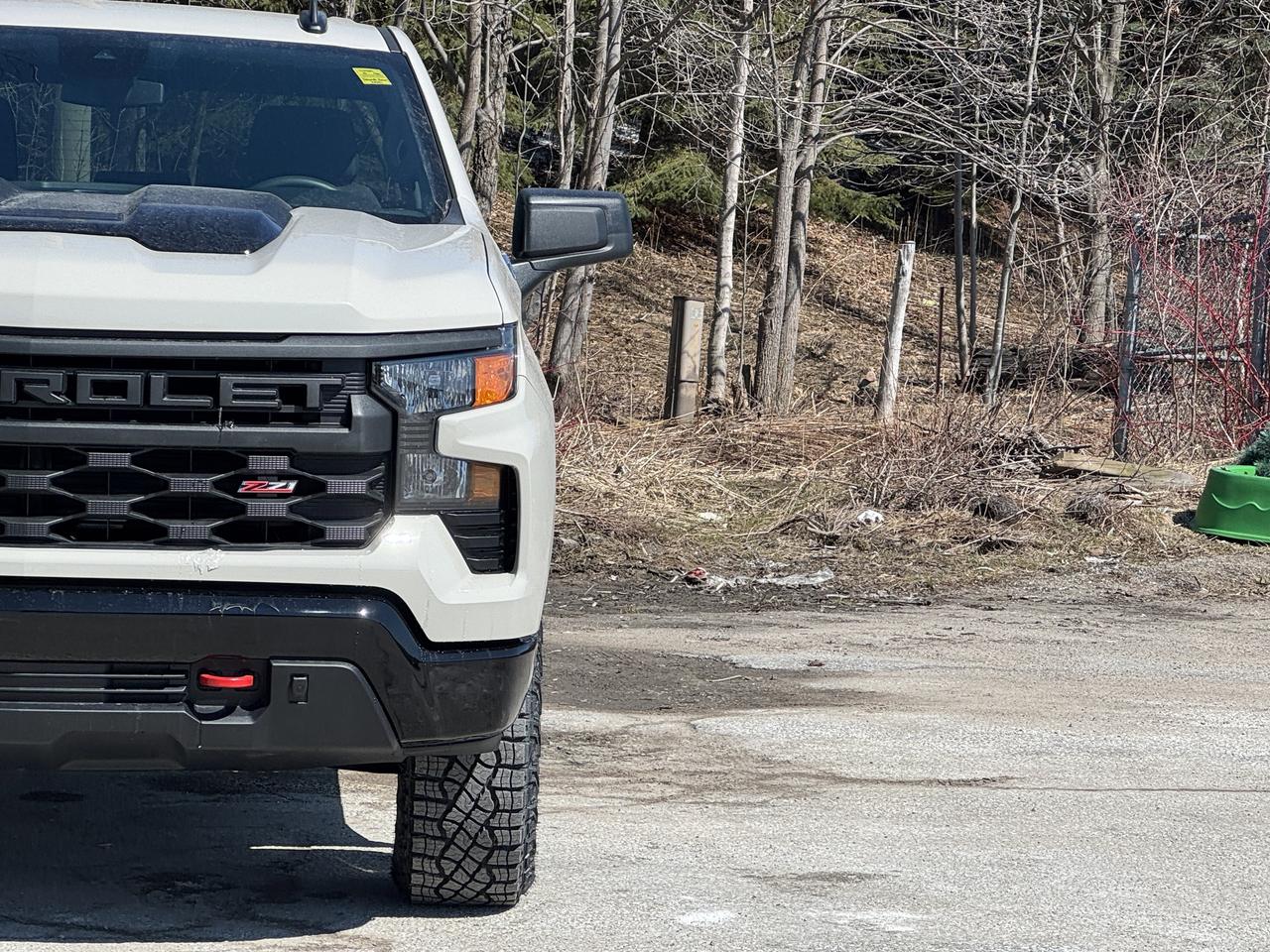 2026 Chevrolet Silverado 1500 Custom Trail Boss Photo