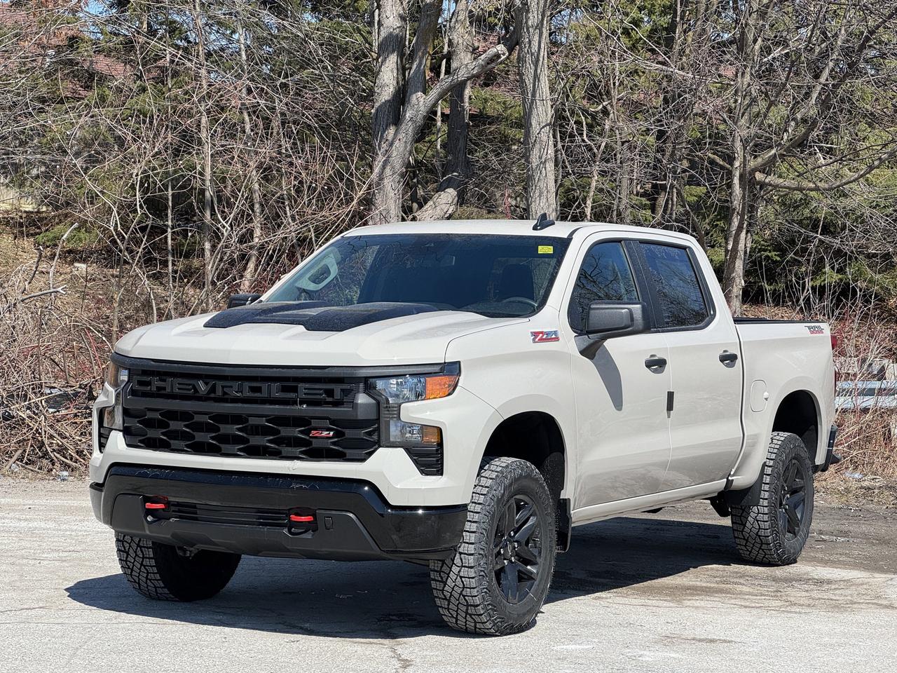 2026 Chevrolet Silverado 1500 Custom Trail Boss Photo