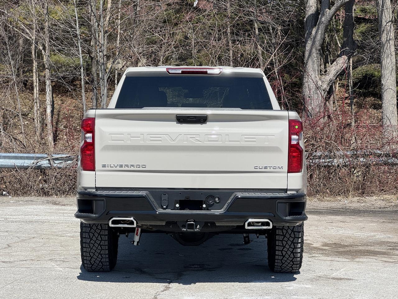 2026 Chevrolet Silverado 1500 Custom Trail Boss Photo