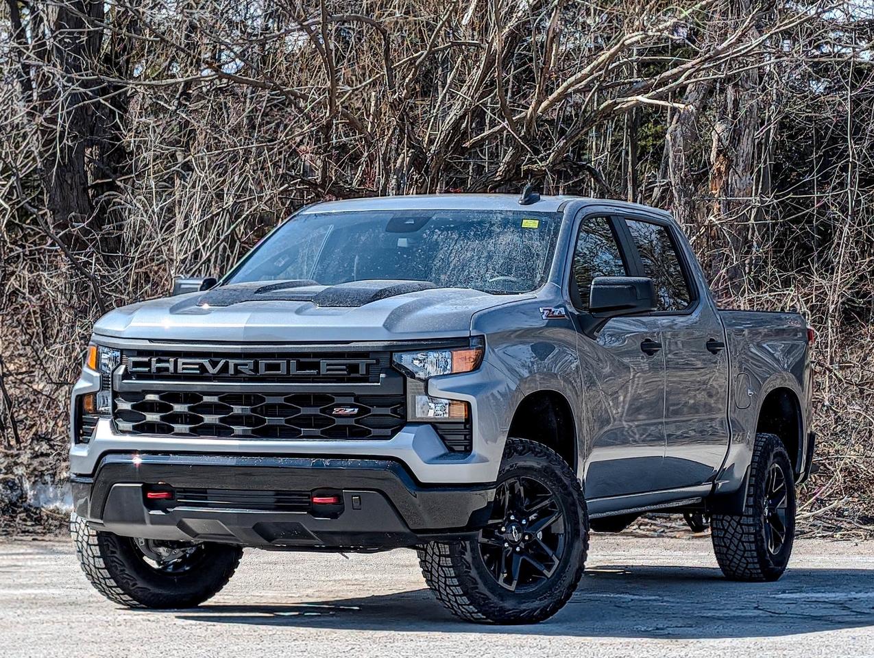 2026 Chevrolet Silverado 1500 Custom Trail Boss Photo