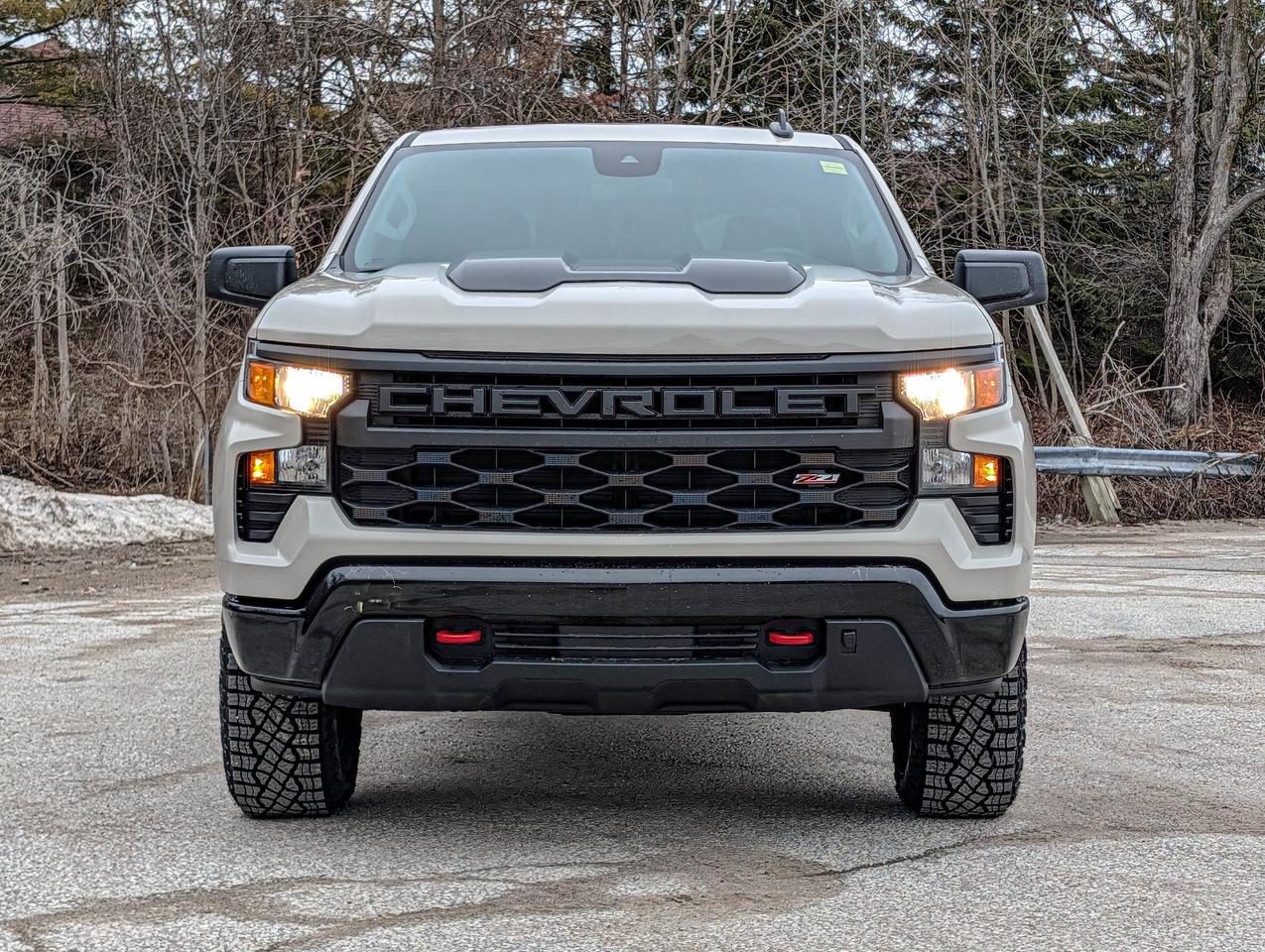 2026 Chevrolet Silverado 1500 Custom Trail Boss Photo