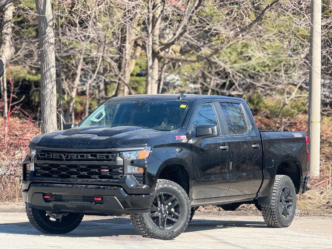 2026 Chevrolet Silverado 1500 Custom Trail Boss Photo