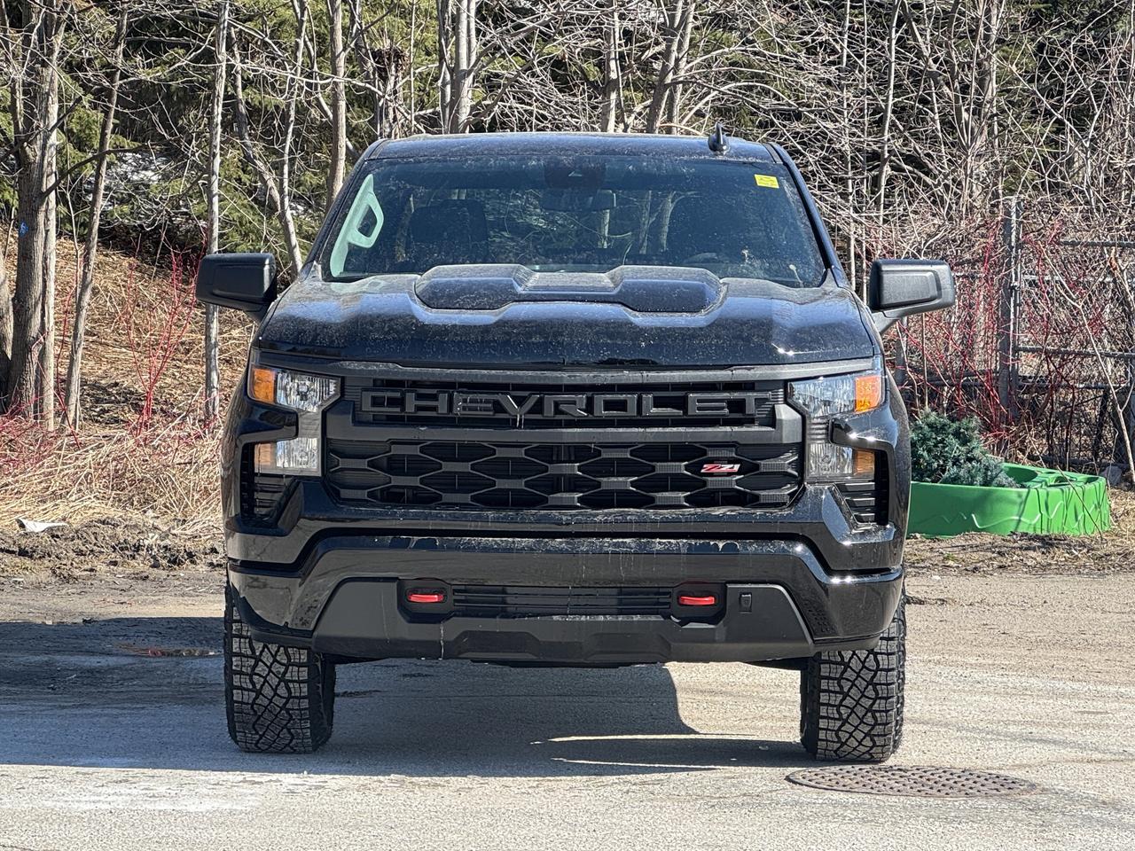 2026 Chevrolet Silverado 1500 Custom Trail Boss Photo