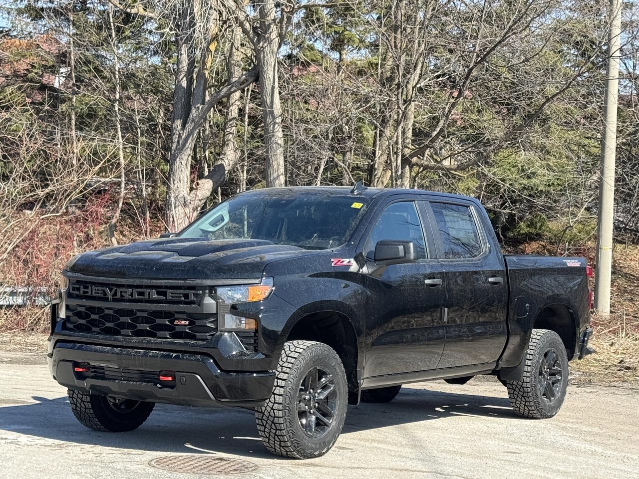 2026 Chevrolet Silverado 1500 Custom Trail Boss Photo