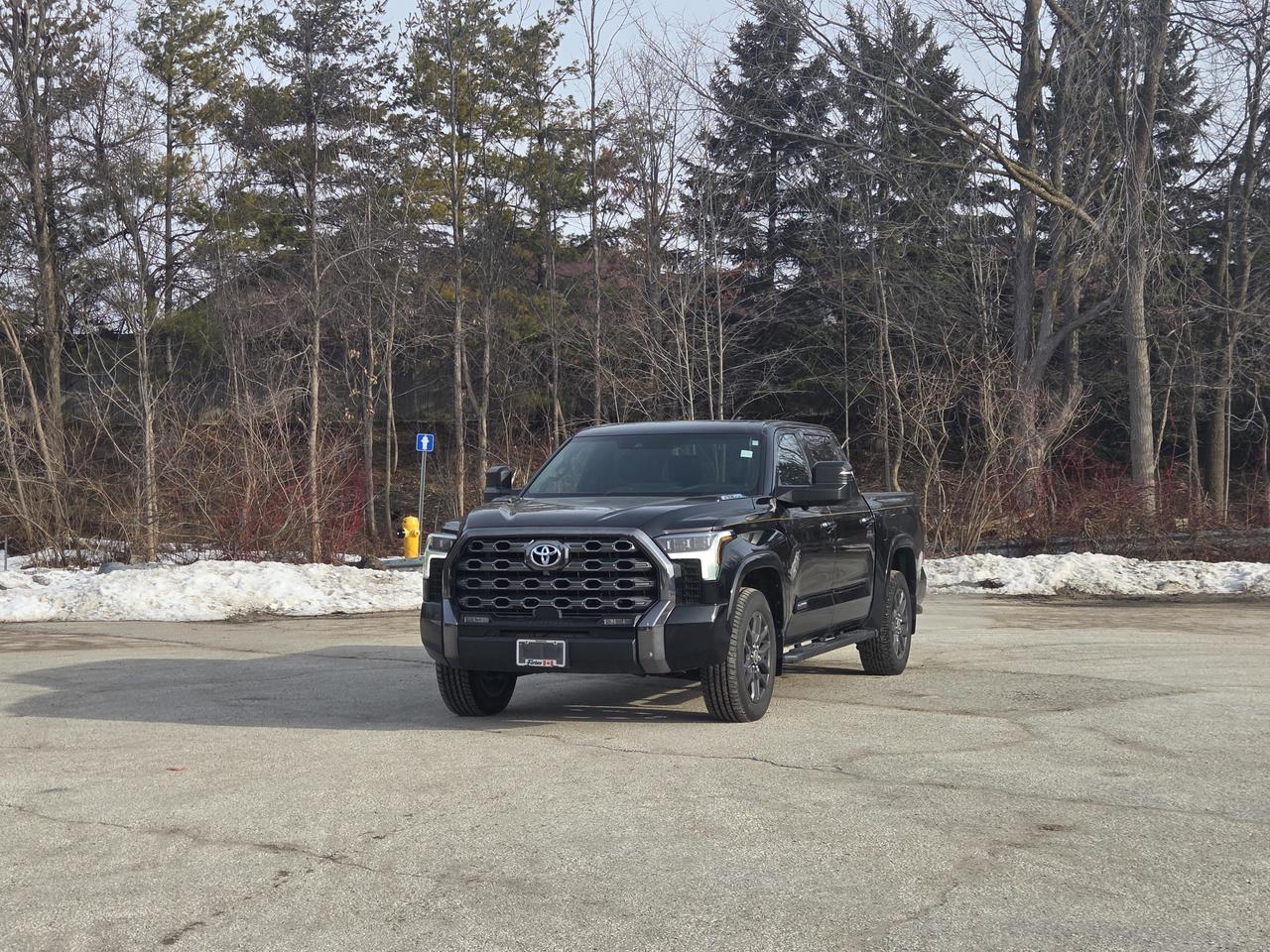 2022 Toyota Tundra Platinum Hybrid Photo