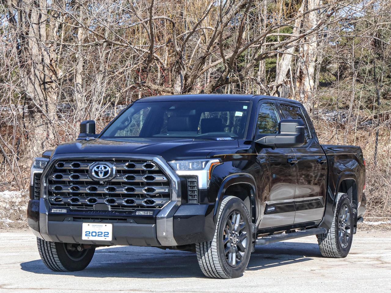 2022 Toyota Tundra Platinum Hybrid Photo
