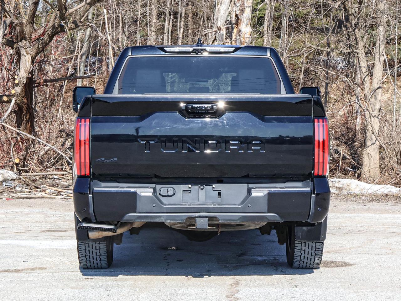 2022 Toyota Tundra Platinum Hybrid Photo