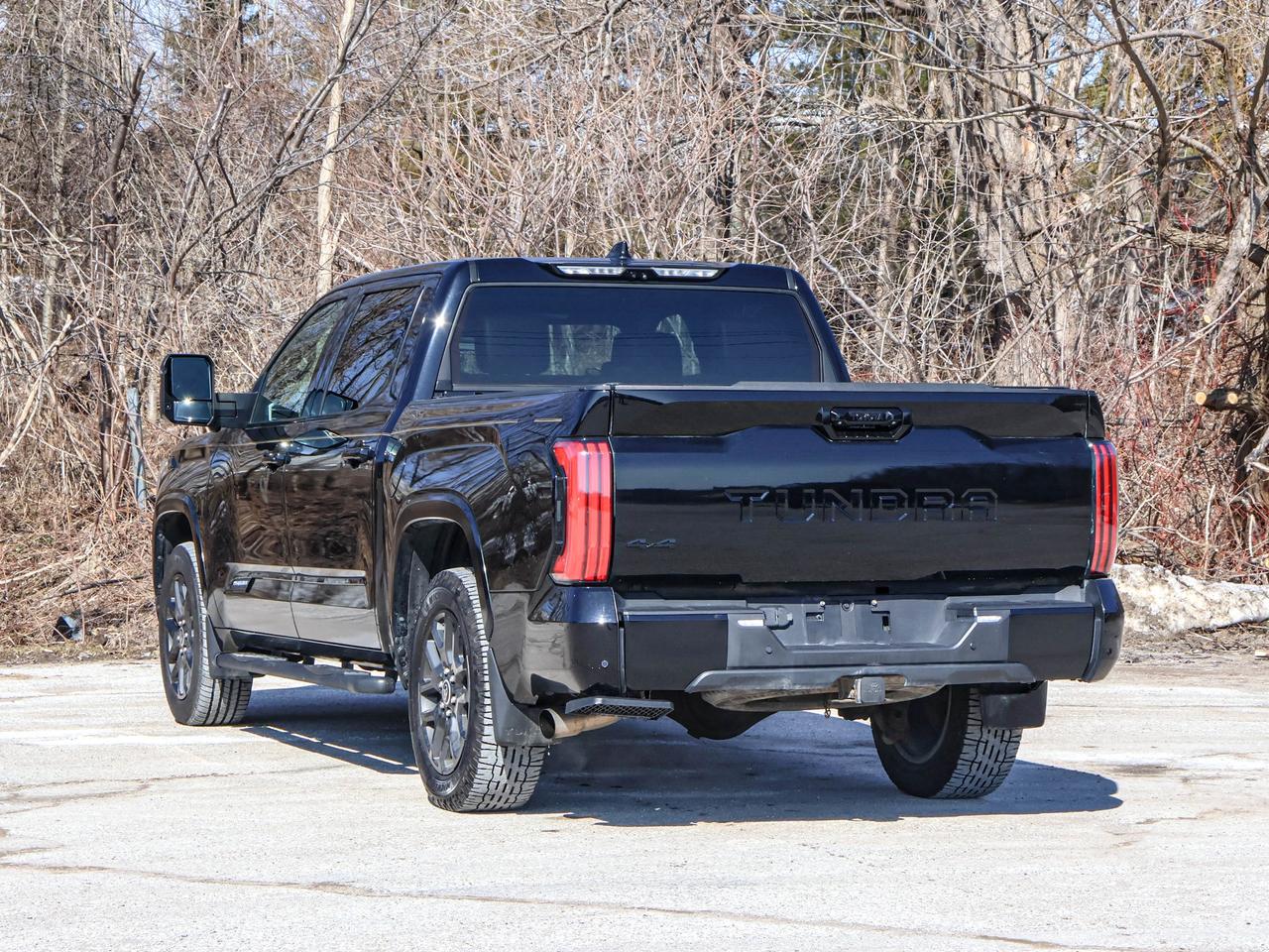 2022 Toyota Tundra Platinum Hybrid Photo