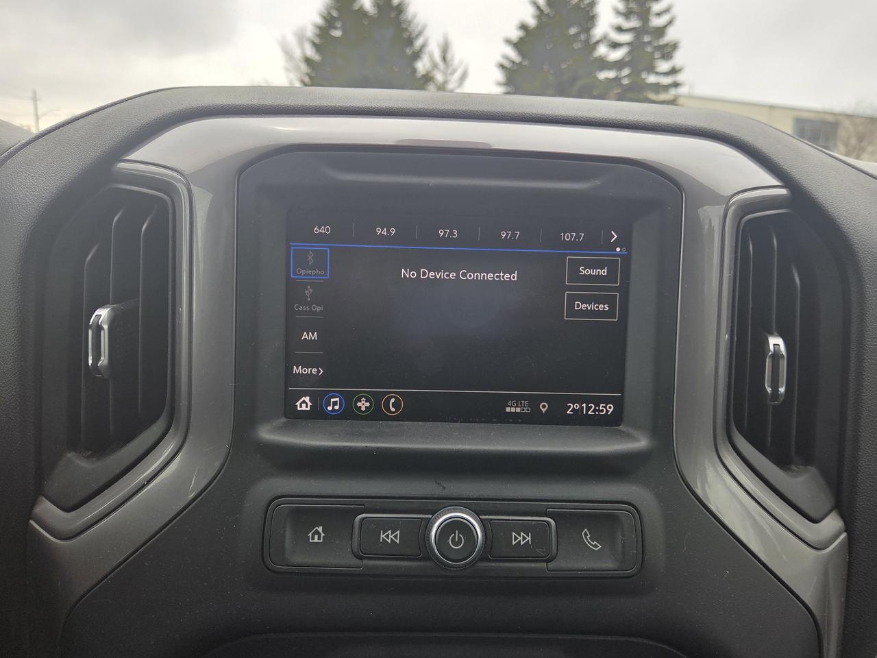 2021 Chevrolet Silverado 1500 Custom Trail Boss Photo