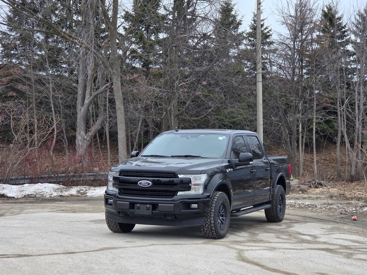 2019 Ford F-150 Lariat Photo