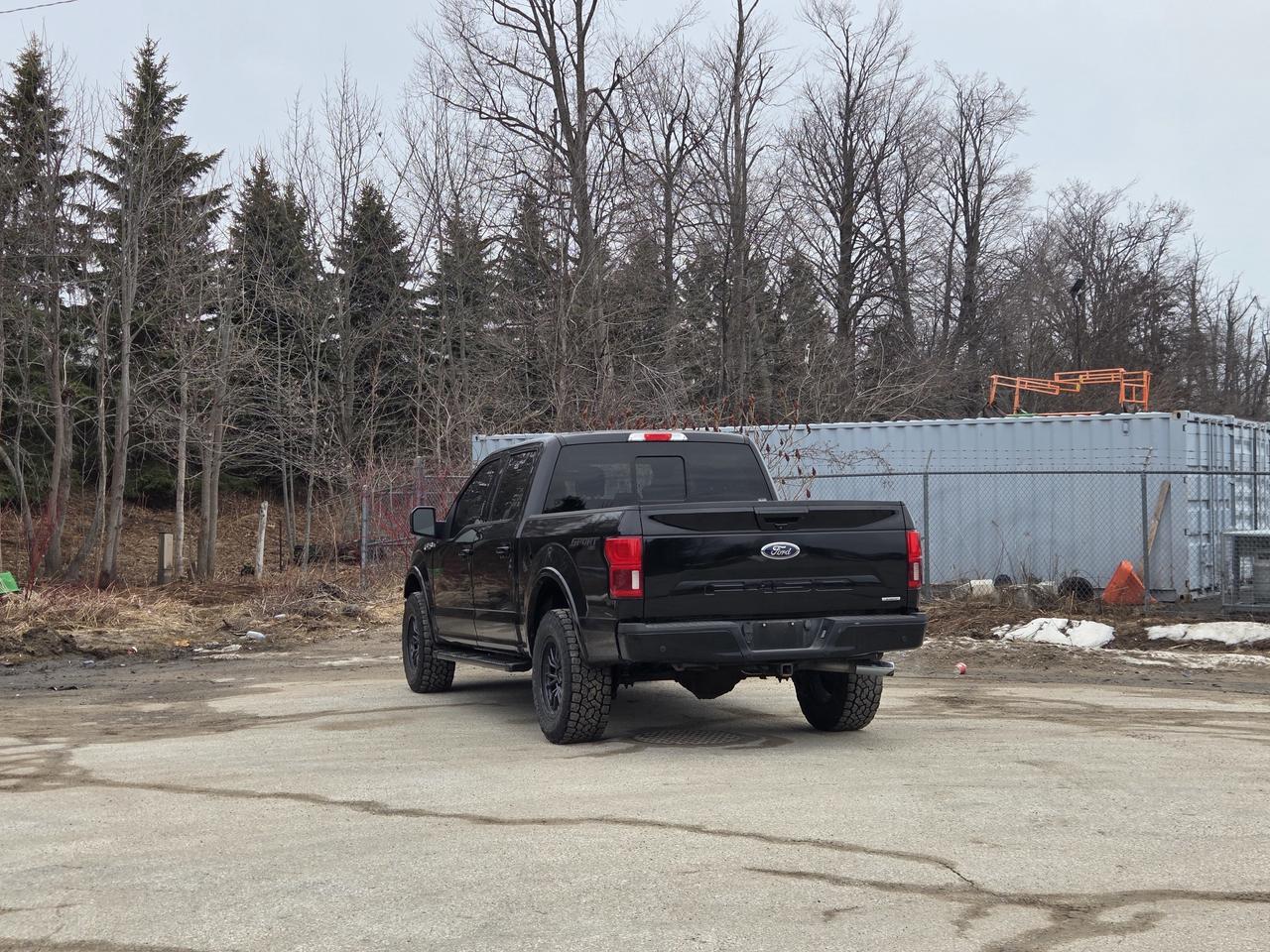 2019 Ford F-150 Lariat Photo