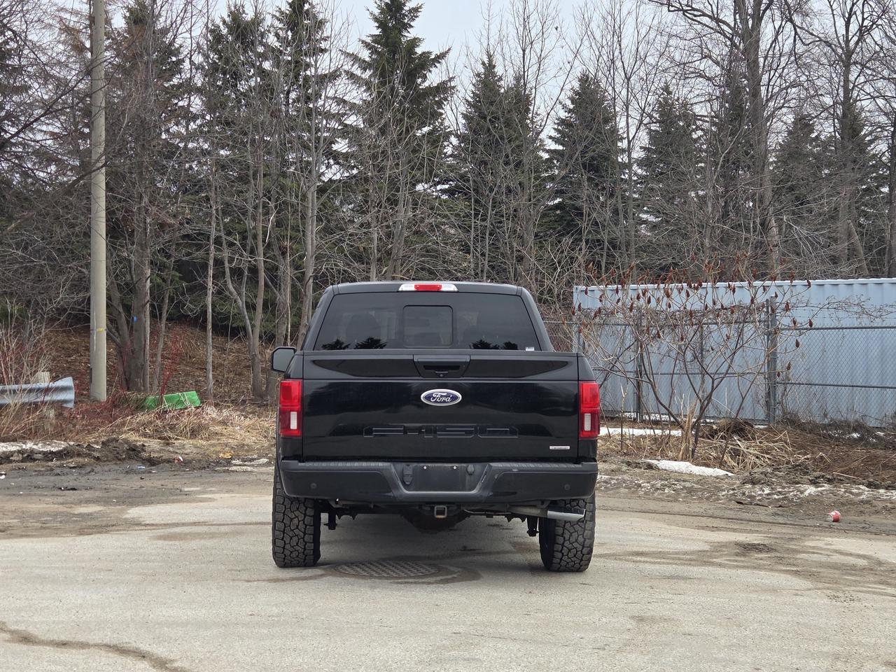 2019 Ford F-150 Lariat Photo