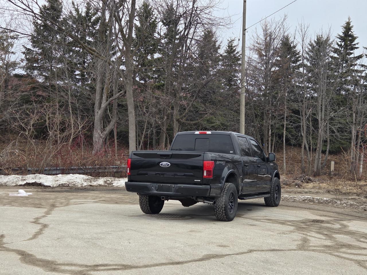 2019 Ford F-150 Lariat Photo