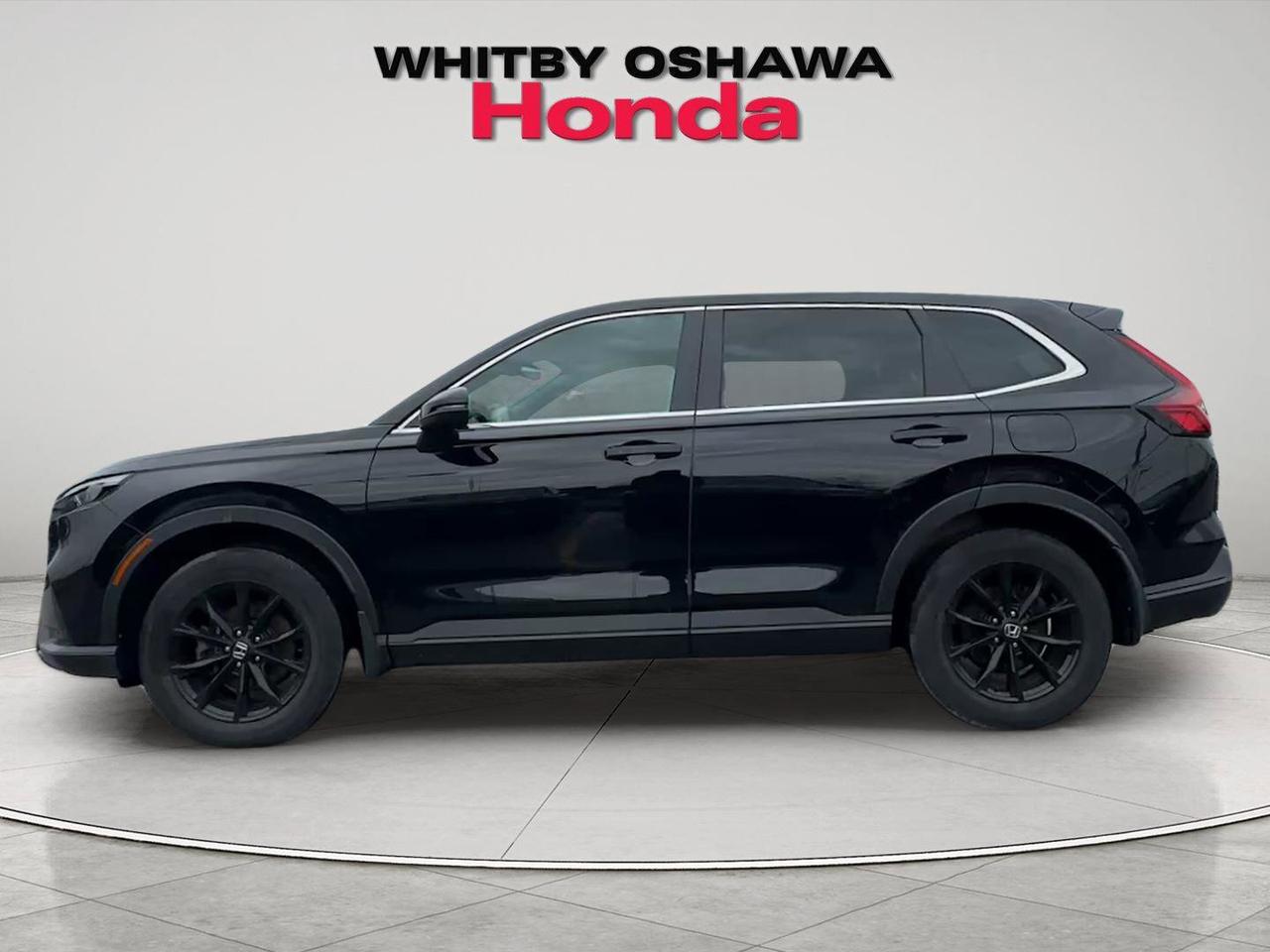 2024 Honda CR-V Hybrid EX-L AWD Photo