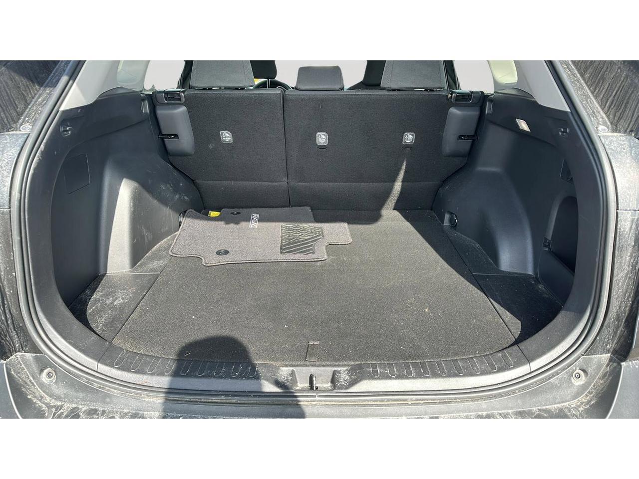 2024 Toyota RAV4 LE AWD Photo