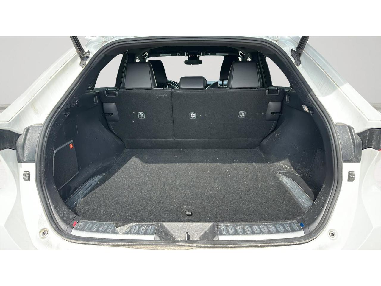 2023 Toyota Venza  Photo