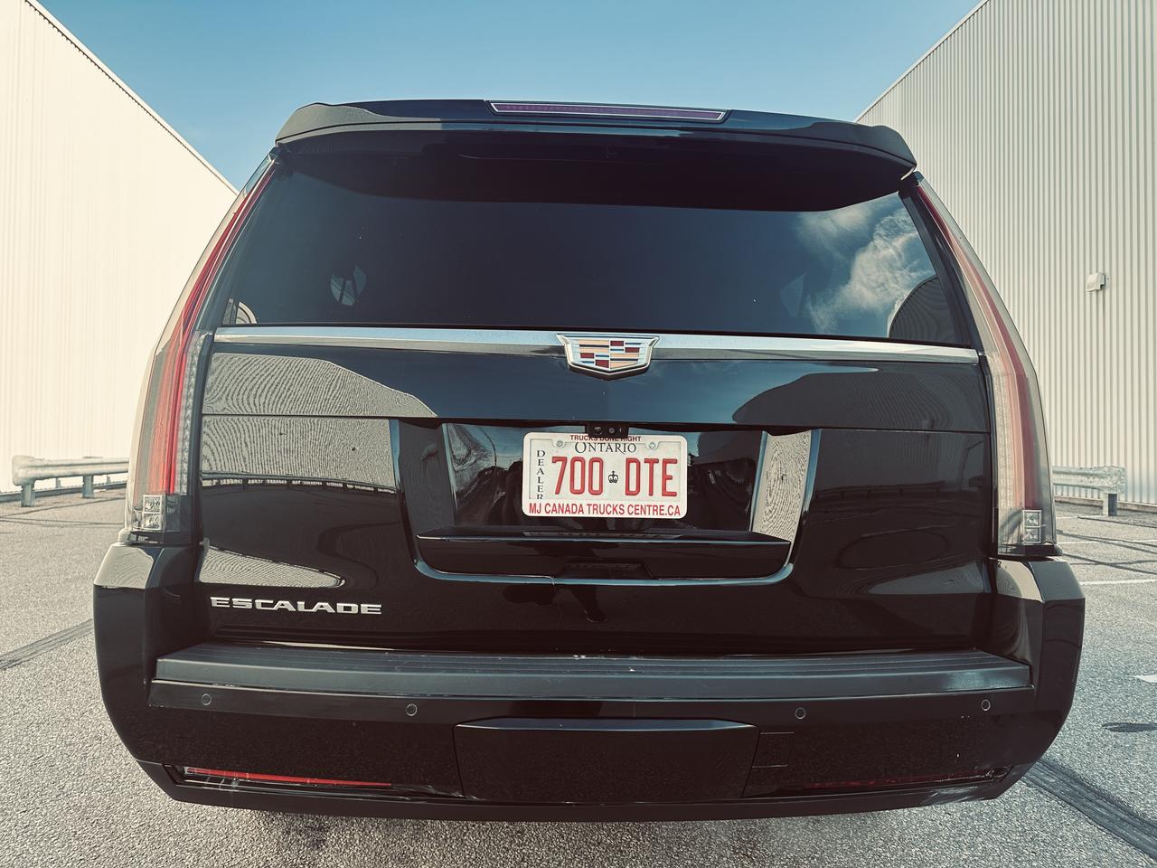 2020 Cadillac Escalade ESV Platinum Triple Black 6.2L Photo