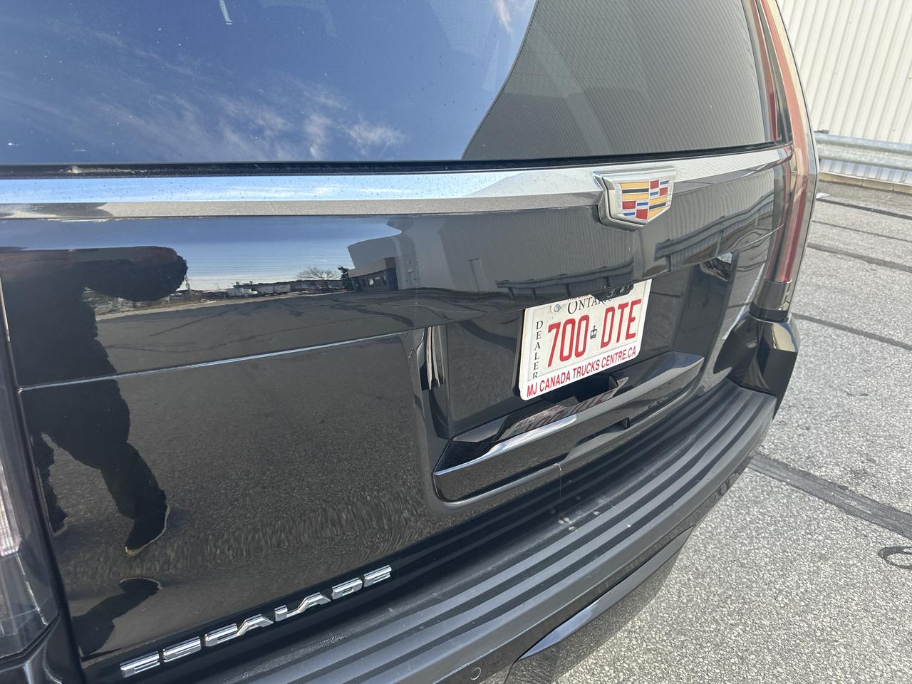 2020 Cadillac Escalade ESV Platinum Triple Black 6.2L Photo