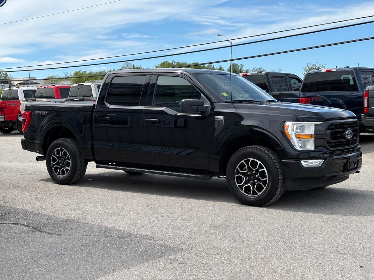 2022 Ford F-150 XLT 4WD SuperCrew 5.5' Box Photo4