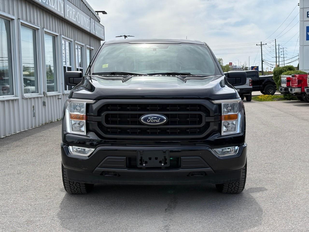 2022 Ford F-150 XLT 4WD SuperCrew 5.5' Box Photo2