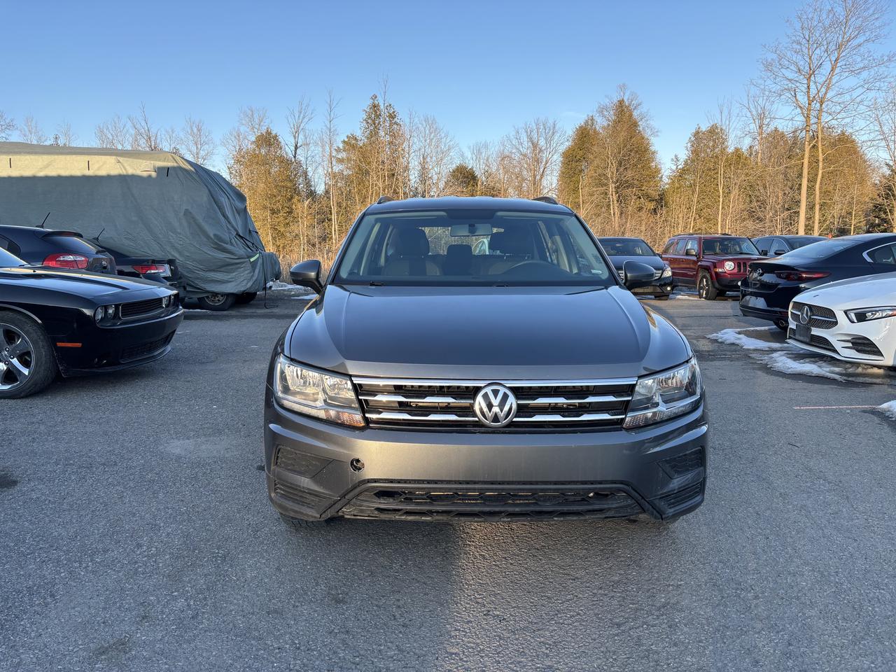 2021 Volkswagen Tiguan Trendline Photo1