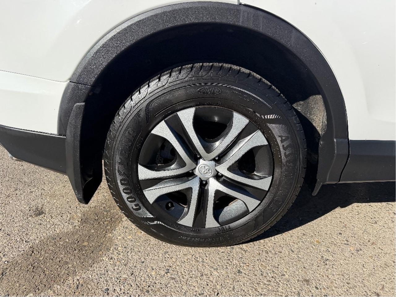 2017 Toyota RAV4 LE Photo